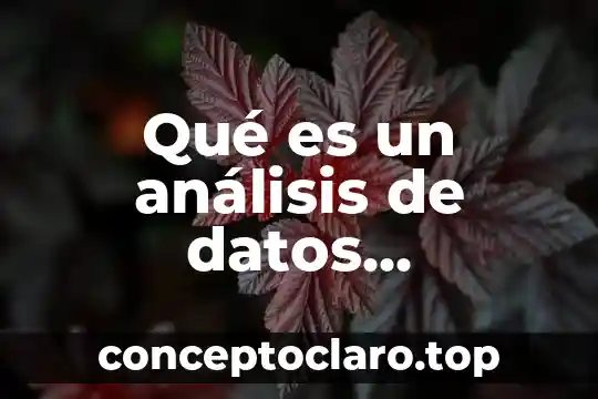 Qué es un análisis de datos sustancia y función