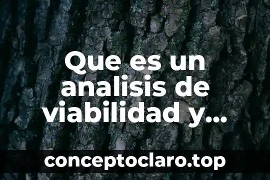 Que es un estudio de factibilidad en educacion 3 Que es un analisis de viabilidad y factibilidad