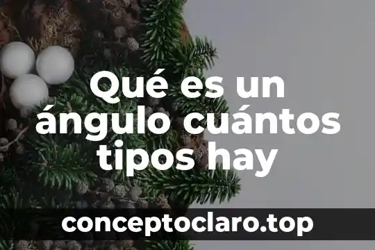 Que es huelga y sus tipos 7 Qué es un ángulo cuántos tipos hay