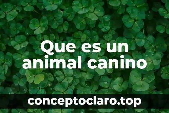 Que es un animal canino