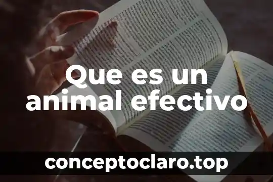 Que es un animal efectivo