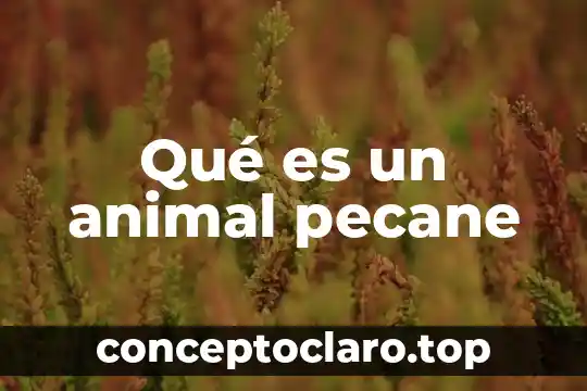 La horca animal que es 3 Qué es un animal pecane