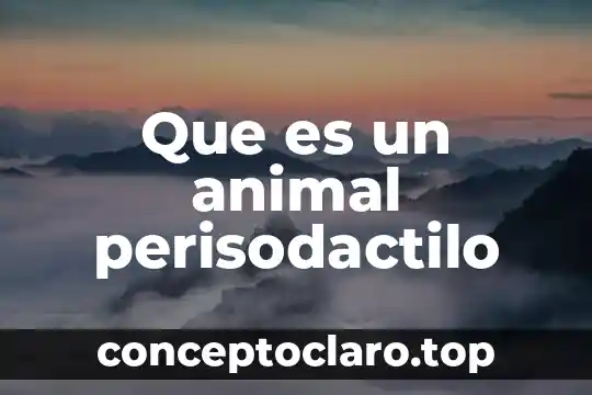 Qué es un sprite en animate 3 Que es un animal perisodactilo