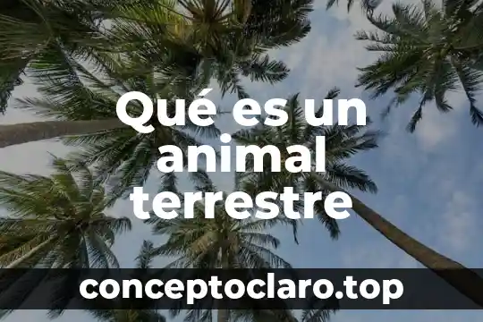 Que es un nombre vulgar animal 4 Qué es un animal terrestre