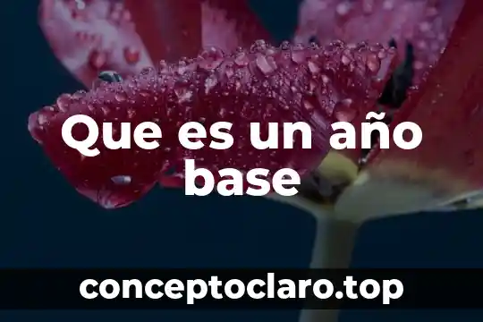 Que es una base de dattos 5 Que es un año base