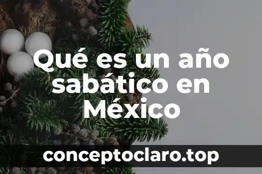 Qué es un año sabático en México