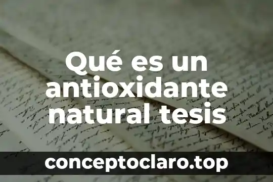 Qué es un antioxidante natural tesis