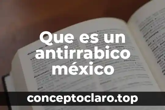 Animal que es conejo y puerco animales conbinados 3 Que es un antirrabico méxico