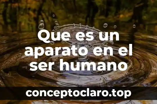 Que es un aparato en el ser humano