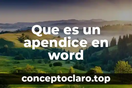 Que es un apendice en word