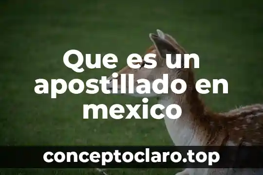 Que es un apostillado en mexico