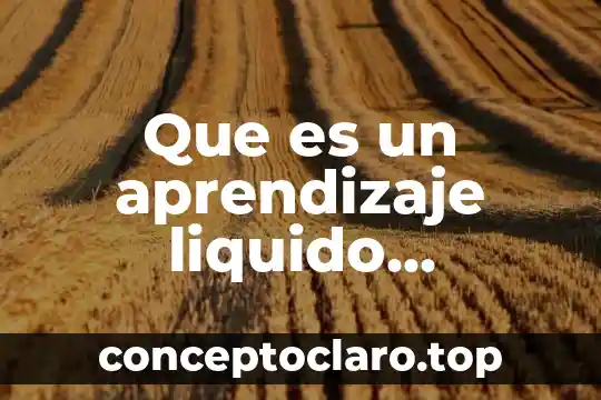 Que es un aprendizaje liquido permanente