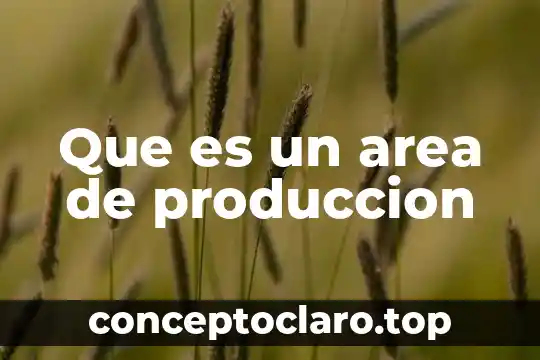 Que es redes de área local 4 Que es un area de produccion