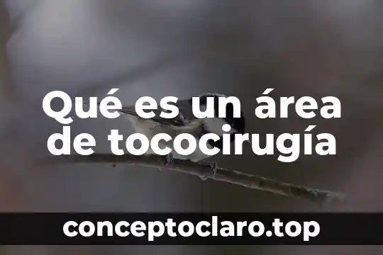 Qué es un área de tococirugía