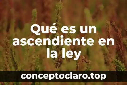 Qué es un ascendiente en la ley