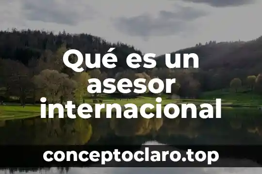 Qué es un asesor internacional