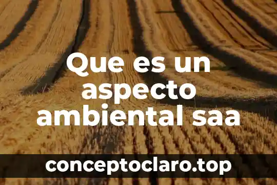 Persona que es cuidadoso con su aspecto 3 Que es un aspecto ambiental saa
