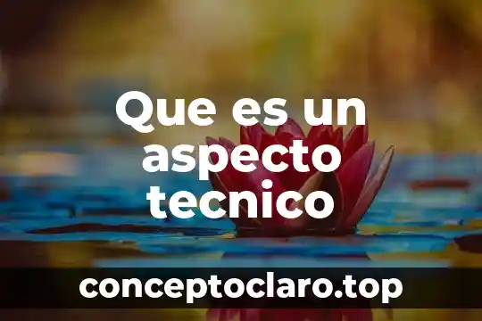 Persona que es cuidadoso con su aspecto 5 Que es un aspecto tecnico