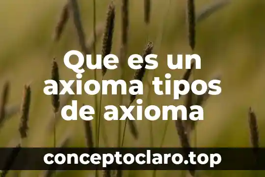 Que es un axioma tipos de axioma