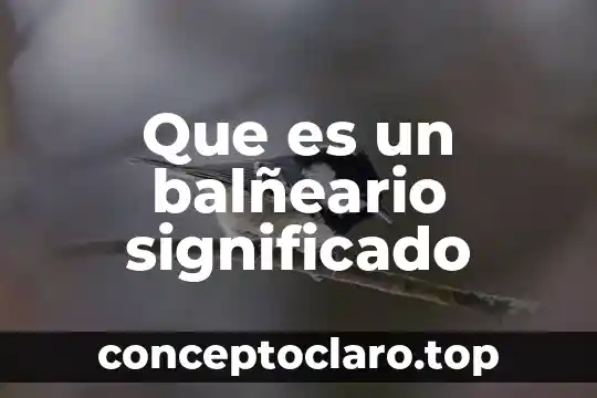 Qué es turrones significado 7 Que es un balñeario significado