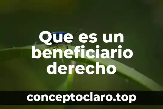 Que es un beneficiario derecho