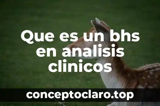 Que es un bhs en analisis clinicos