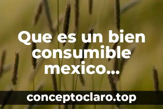 Que es un bien consumible mexico doctrina