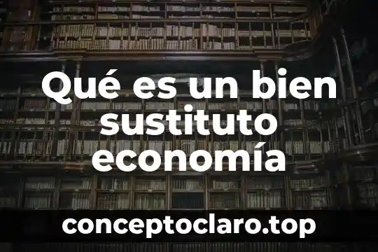 Qué es un bien sustituto economía