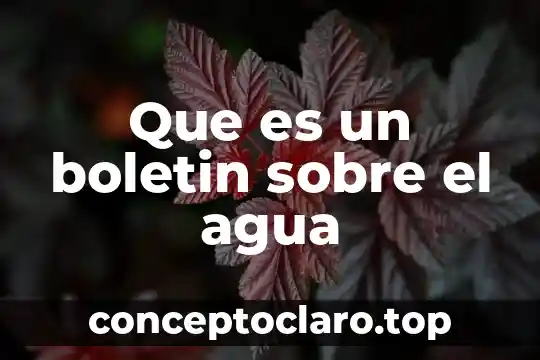 Que es un boletin sobre el agua