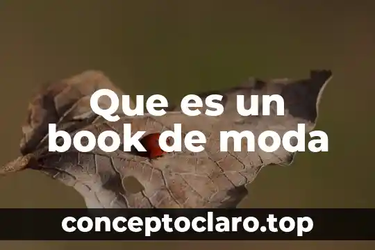 Que es la moda en todo los terminos 4 Que es un book de moda