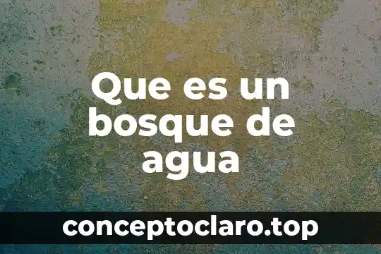 Que es un bosque de agua