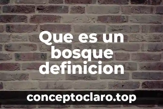 Que es la sororidad definicion 5 Que es un bosque definicion