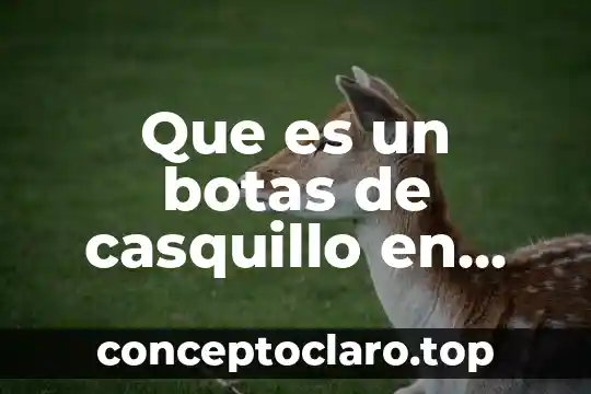 Que es un botas de casquillo en construcción definicion
