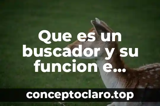 Que es un buscador y su funcion e iconos