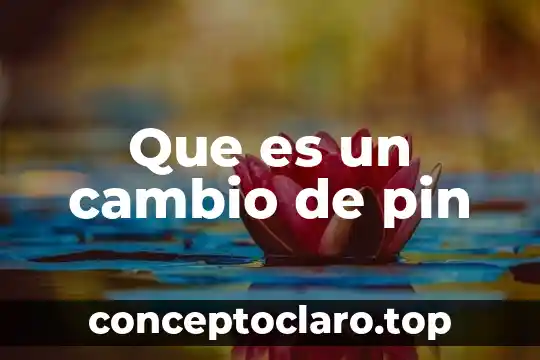 Que es un cambio de pin