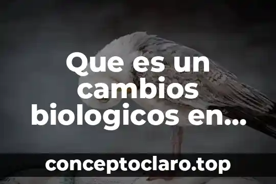 Que es un cambios biologicos en el cuerpo humano