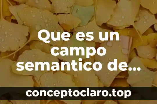 Que es un esquema semantico ejemplos 8 Que es un campo semantico de escuela