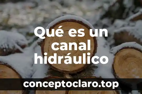 Que es el ketoconazol y para que sirve nombre come 3 Qué es un canal hidráulico