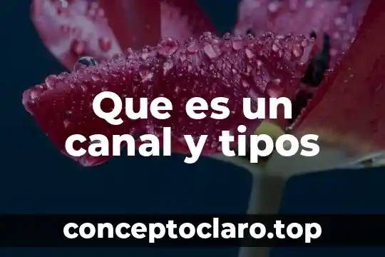 Que es un canal y tipos