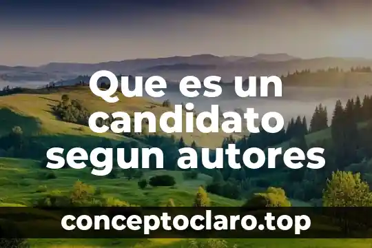 Que es un candidato segun autores