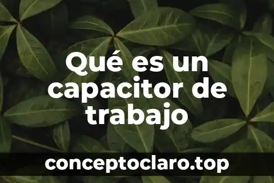 Que es proyecto de trabajo filosofia 5 Qué es un capacitor de trabajo