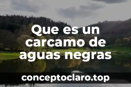 Que es un carcamo de aguas negras