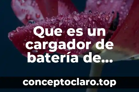Que es un cargador de batería de computadora portátil