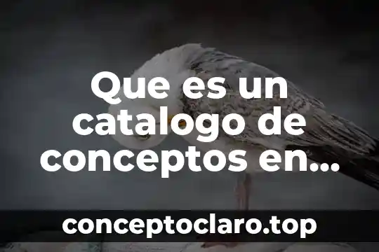 Que es un catalogo de conceptos en construccion