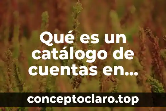 Que es el concepto de utilidad en contabilidad 6 Qué es un catálogo de cuentas en contabilidad