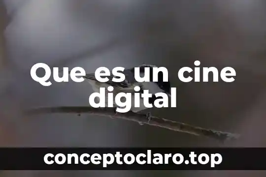 Que es un anotador digital 8 Que es un cine digital