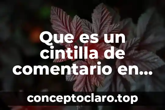 Qué es espaciado entre párrafos en Word 4 Que es un cintilla de comentario en word