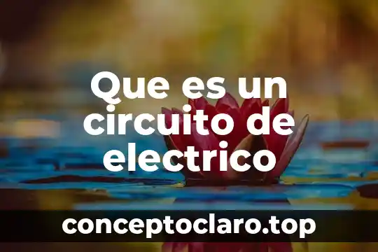 Que es un residuo de aparato electrico 8 Que es un circuito de electrico