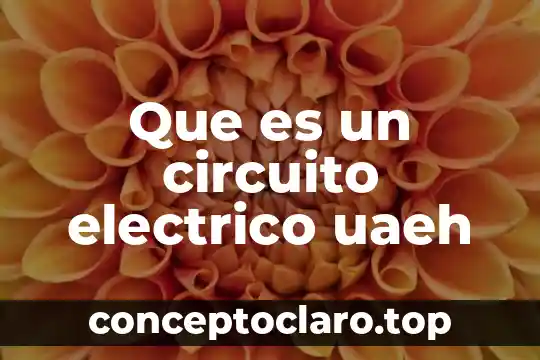 Que es un circuito electrico uaeh