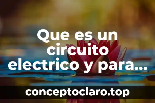 Que es un circuito electrico y para k sirve